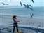 110- Feeding the gulls.JPG